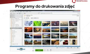 Program do katalogowania zdjęć Picasa wyświetla galerię zdjęć krajobrazowych, samolotów i innych.