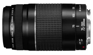 Obiektyw 75-300 mm: Rewelacyjne zastosowania w różnych rodzajach fotografii