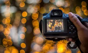 Najlepsze obiektywy do efektu bokeh. Jak uzyskać magiczne rozmycie tła?