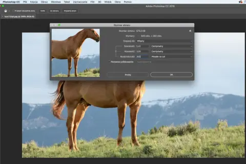 Jak zmienić DPI zdjęcia w Photoshopie? Okno "Rozmiar obrazu" pokazuje rozdzielczość 300 pikseli na cal.