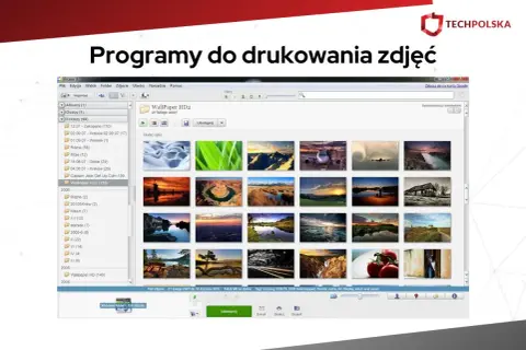 Program do katalogowania zdjęć Picasa wyświetla galerię zdjęć krajobrazowych, samolotów i innych.