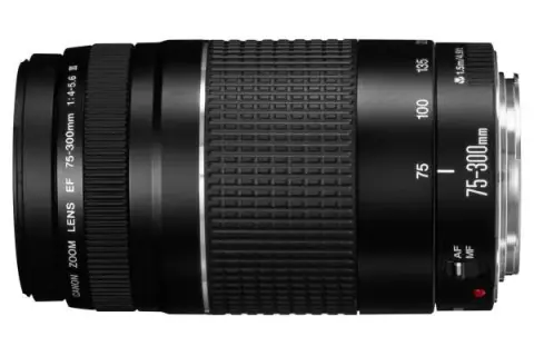Obiektyw 75-300 mm: Rewelacyjne zastosowania w różnych rodzajach fotografii