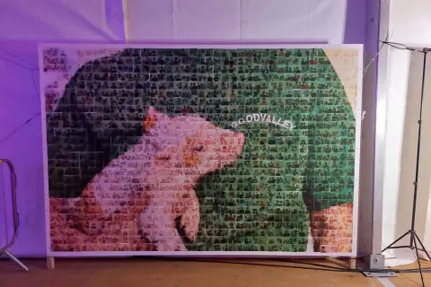 Pamiątkowe zdjęcie z wielu mniejszych fotografii tworzy obraz świni. Napis "GOODVALLEY" widoczny jest na tle zieleni.