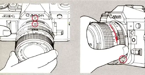 Samowyzwalacz w aparacie Canon: Prosty sposób na idealne zdjęcia grupowe