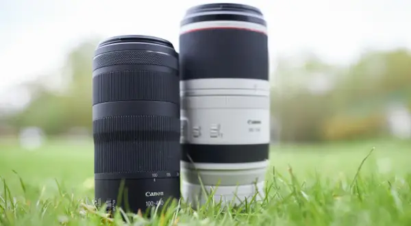 Dwa obiektywy Canon 100-400, jeden czarny, drugi biały, stoją w trawie.